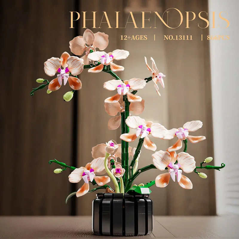 Phalaenopsis Pink Orchid