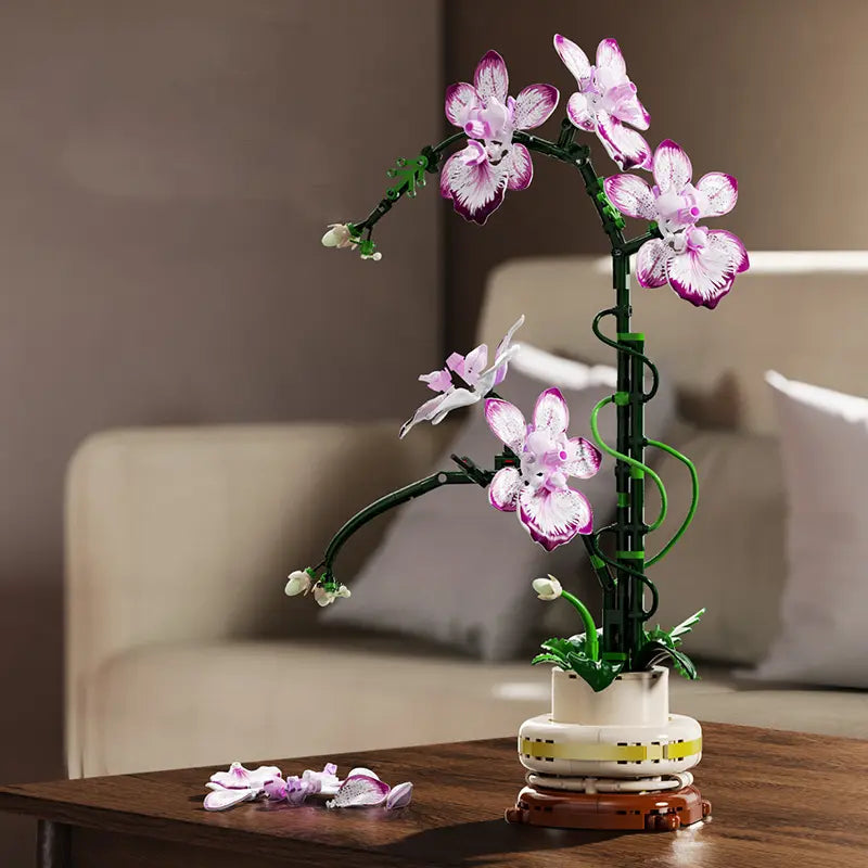 Cymbidium Purpur Orchidee